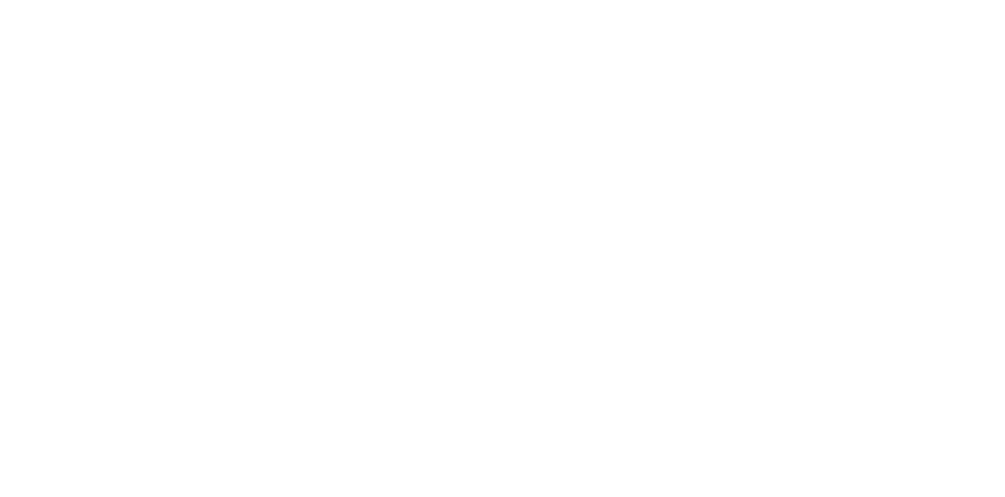 Carela Shoes